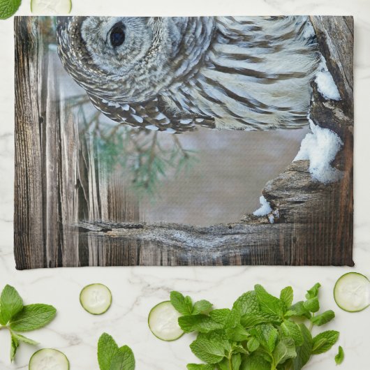 Linge De Cuisine Chouette (Plié)