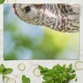 Linge De Cuisine Chouette barrée (Plié)