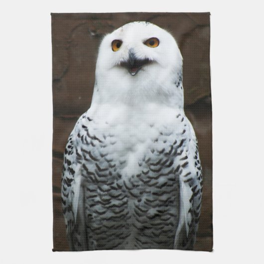 Linge De Cuisine Chouette des neiges ktcnm (Vertical)