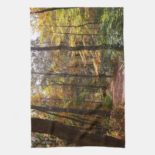 Linge De Cuisine Chute Sunlit dans le parc national de Laurel Hill (Vertical)