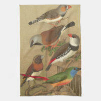Cinq oiseaux de compagnie colorés perchés sur une