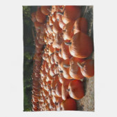 Linge De Cuisine Citrouille Patch Automne Harvest Photographie (Vertical)