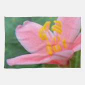 Linge De Cuisine Closeup de fleurs de jatropha (Horizontal)