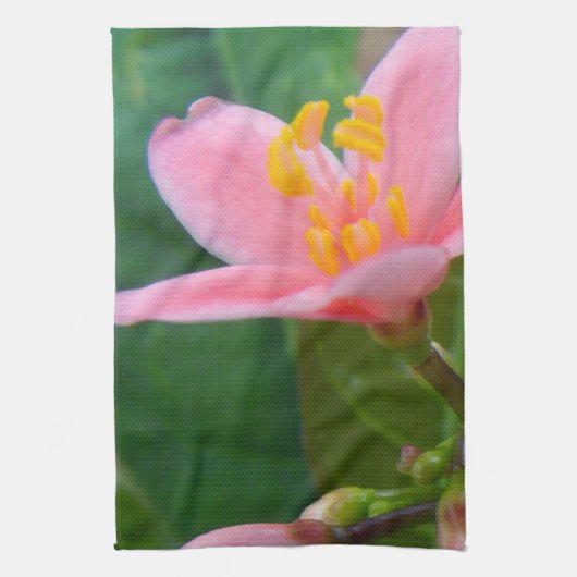 Linge De Cuisine Closeup de fleurs de jatropha (Vertical)