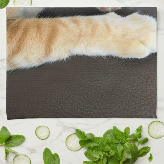 Linge De Cuisine Closeuse de chat orange (Plié)