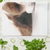 Linge De Cuisine Cocker rouge/blanc de sommeil (Plié)