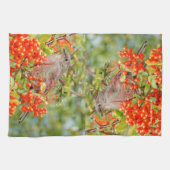 Linge De Cuisine Colibri solitaire de Townsend sur la Pyracantha (Horizontal)