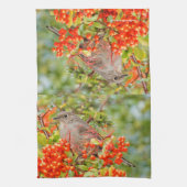 Linge De Cuisine Colibri solitaire de Townsend sur la Pyracantha (Vertical)