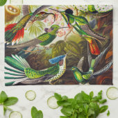 Linge De Cuisine Colibri Vintage par Ernst Haeckel (Plié)