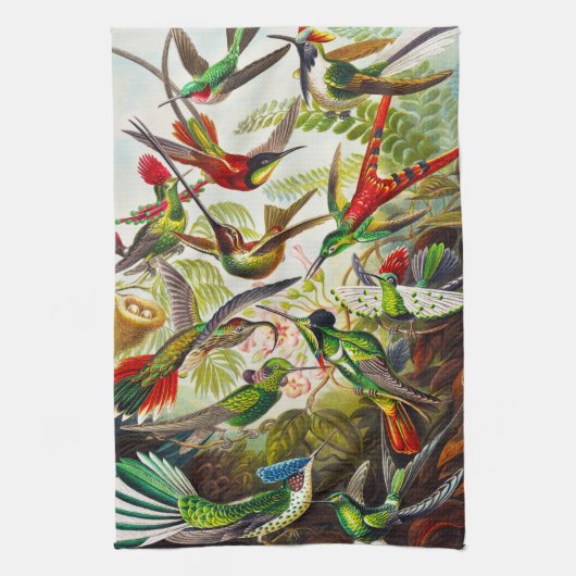 Linge De Cuisine Colibri Vintage par Ernst Haeckel (Vertical)