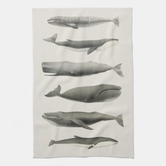 Linge De Cuisine Collage d'art de baleines vintage (Vertical)