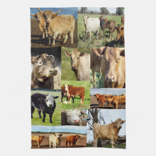 Linge De Cuisine Collage de photos de la race de vache,
