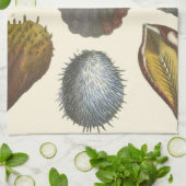 Linge De Cuisine Collection Conchology (Plié)