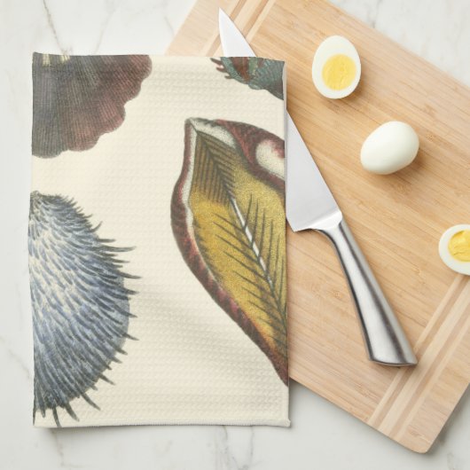 Linge De Cuisine Collection Conchology (Quart Plié)