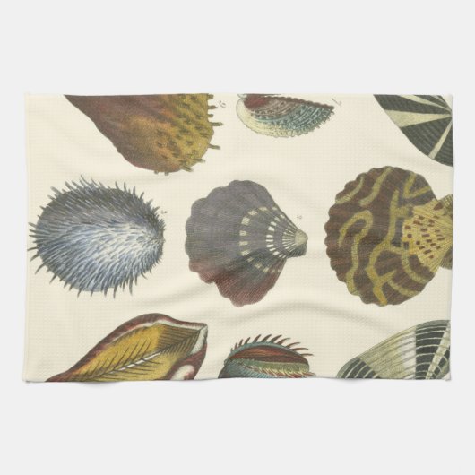 Linge De Cuisine Collection Conchology (Horizontal)