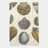 Linge De Cuisine Collection Conchology (Vertical)