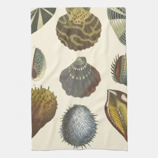 Linge De Cuisine Collection Conchology (Vertical)