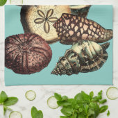 Linge De Cuisine Collection de coquillages turquoise et de coraux r (Plié)