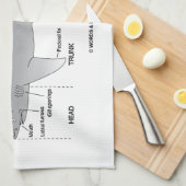 Linge De Cuisine Comment identifier un requin (humour de biologie) (Quart Plié)