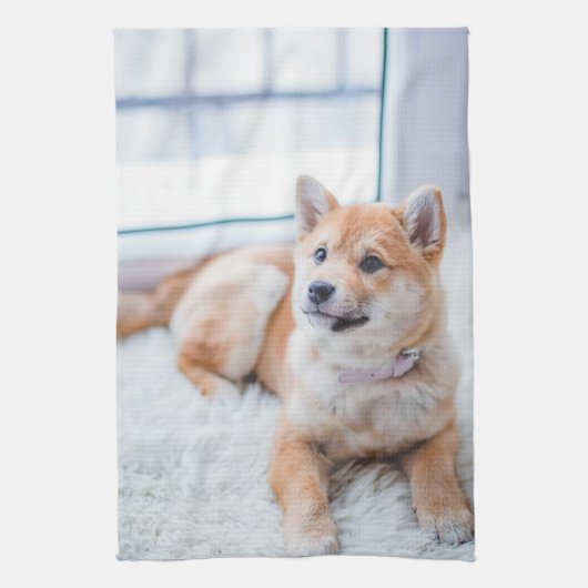 Linge De Cuisine Concevez votre propre photo Chien Chien Chien Chie (Vertical)