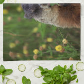 Linge De Cuisine Consommation de marmotte de printemps (Plié)