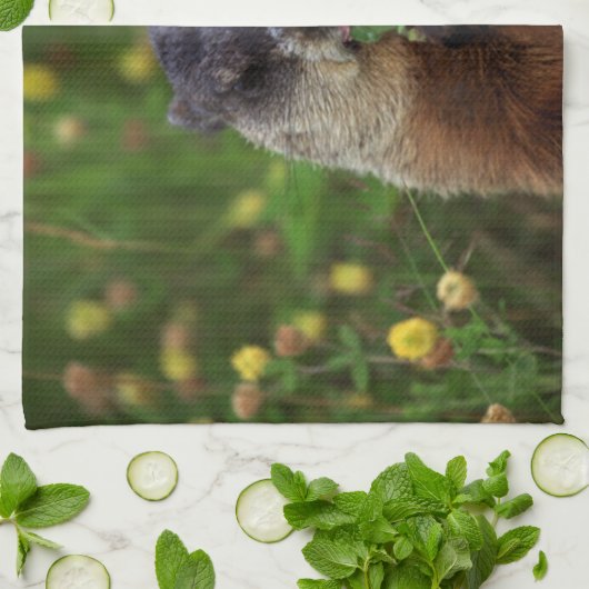 Linge De Cuisine Consommation de marmotte de printemps (Plié)