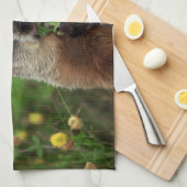 Linge De Cuisine Consommation de marmotte de printemps (Quart Plié)