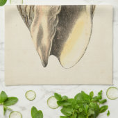 Linge De Cuisine Coque vintage Sepia Conch (Plié)