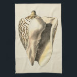 Linge De Cuisine Coque vintage Sepia Conch<br><div class="desc">Vous pouvez entendre l'océan de ces coquillages Conch haut et clair! Si vous êtes stressé,  imaginez-vous sur la plage de sable chaud. Ces coquillages Conch sont une grande oeuvre d'art avec un arrière - plan sépia pour faire ressortir l'image comme plus nette.</div>
