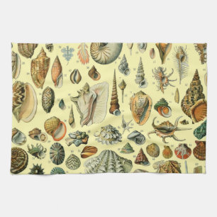 Linge De Cuisine Coquillages de coquillages Mollusk Clam Élégant Ar