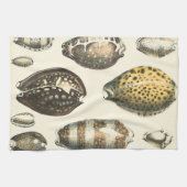 Linge De Cuisine Coquillages De Forme Unique (Horizontal)