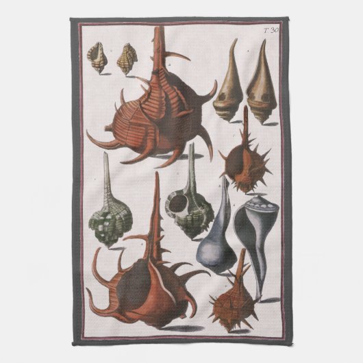 Linge De Cuisine Coquillages vintages, Coquillages océaniques Marin (Vertical)
