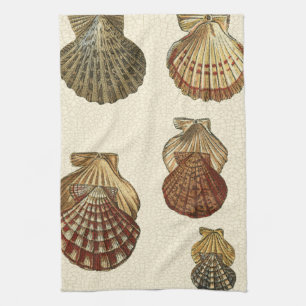 Linge De Cuisine Coquilles antiques crépitées
