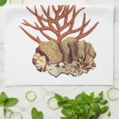 Linge De Cuisine Corail (Plié)