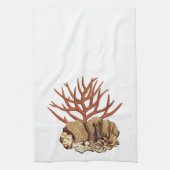 Linge De Cuisine Corail (Vertical)