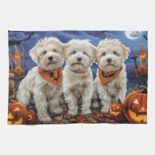 Linge De Cuisine Coton De Tulear Halloween Épouvantable