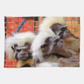 LINGE DE CUISINE COTON - TOP TAMARIN SINGES (Horizontal)