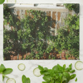 Linge De Cuisine Cottage anglais I Charming (Plié)