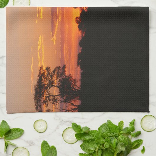 Linge De Cuisine Coucher de soleil Acacia (Plié)