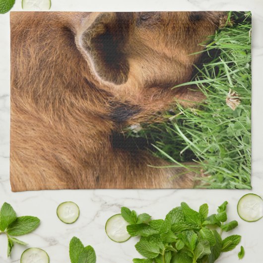 LINGE DE CUISINE COUPER (Plié)