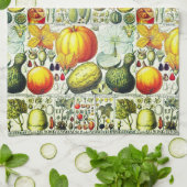 Linge De Cuisine Courges antiques et copie botanique de citrouilles (Plié)