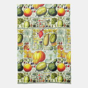 Linge De Cuisine Courges antiques et copie botanique de citrouilles