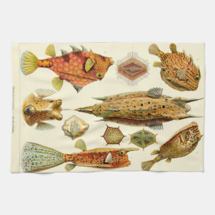 Linge De Cuisine Cowfish de boxfish d'Ernst Haeckel Ostraciontes
