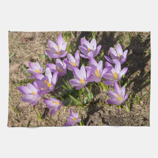 Linge De Cuisine Crocus de printemps mignons (Horizontal)