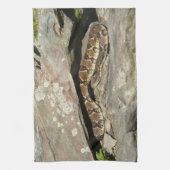 Linge De Cuisine Crotale dans le parc national de Shenandoah (Vertical)