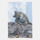 Linge De Cuisine Curious Squirrel, Canadian Animal Photography (Vertical)
