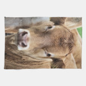 LINGE DE CUISINE CUT CALF (Horizontal)