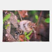 Linge De Cuisine Cute Chipmunk (Horizontal)
