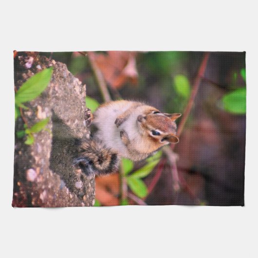Linge De Cuisine Cute Chipmunk (Horizontal)