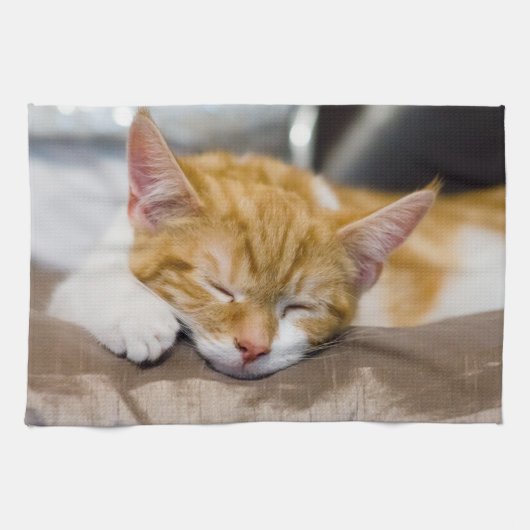 Linge De Cuisine Cute Kitten (Horizontal)